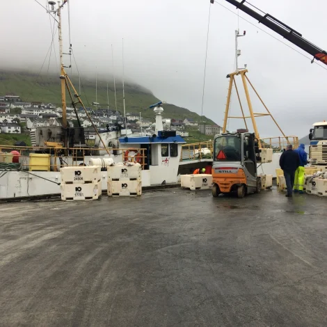 Norðsøki og Falkurin selja á Fiskamarknaðinum
