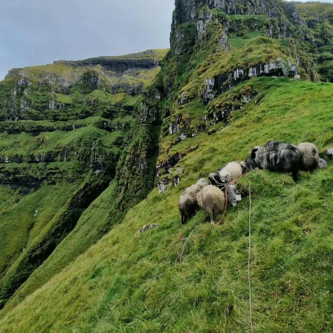 Myndir: Hava verið í Seyðaskorð