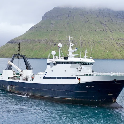 Hvítanes fer nú á svartkalvaveiðu