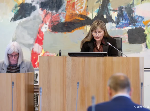 Bæði álitini í samantvinnaðu málinum eru nú løgd fram (Savnsmynd: Jens Kr. Vang)