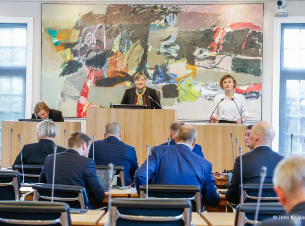 (Savnsmynd: Jens Kr. Vang)