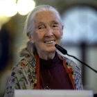 Sjimpansuserfrøðingurin Jane Goodall gjørdist 91 ára gomul