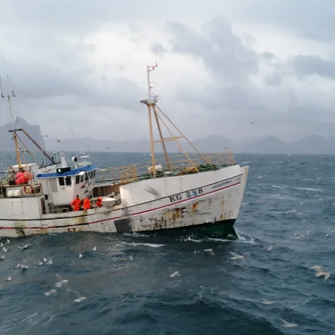 6 útróðrarbátar selja á Fiskamarknaðinum