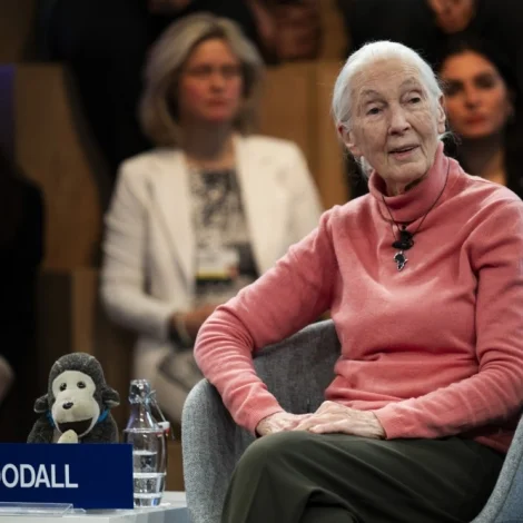 Jane Goodall í Netflix-útgávu av