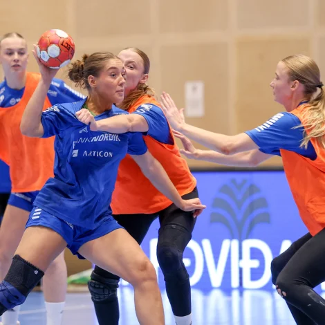 (Mynd: Sverri Egholm)