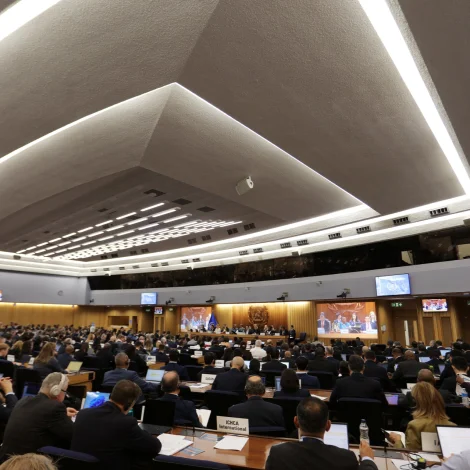 Avtala um veðurlagsskatt dettur niðurfyri