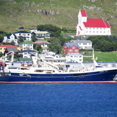Gøtunes og Tróndur í Gøtu landa sild á Tvøroyri