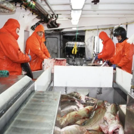 Ein fimtipartur av sjófólki hevur upplivað happing umborð