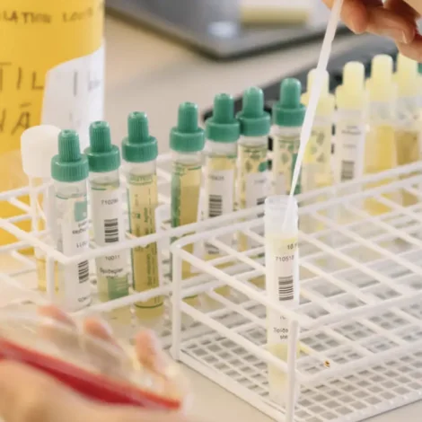 Granskingargrunnur í sukursjúku stovnaður