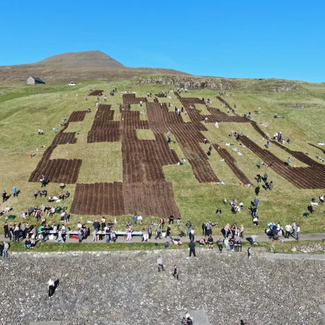 Stuðul til grønmetisverkætlanir