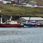 Trý garnaskip landa í dag