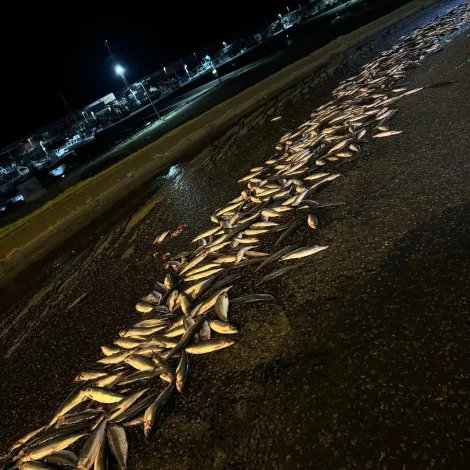 Sild tarnar: Vegurin í Leirvík framvegis ikki opin fyri ferðslu