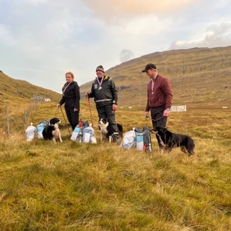 (Mynd: Seyðahundasamband Føroya)