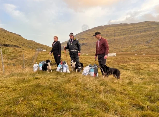 (Mynd: Seyðahundasamband Føroya)