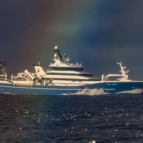 Christian í Grótinum hevur landað svartkjaft til Havsbrún