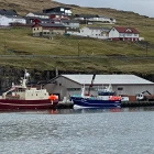 Túgvusteinur landar í Havn