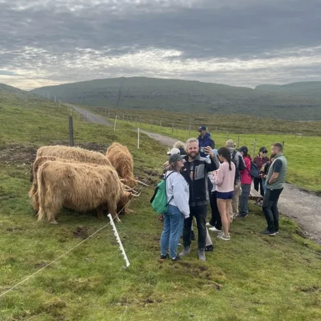 Viðmerking til skriv frá Vinnumálaráðum
