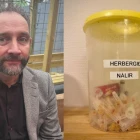 Til øll ting- og landsstýrisfólk: Hetta hastar