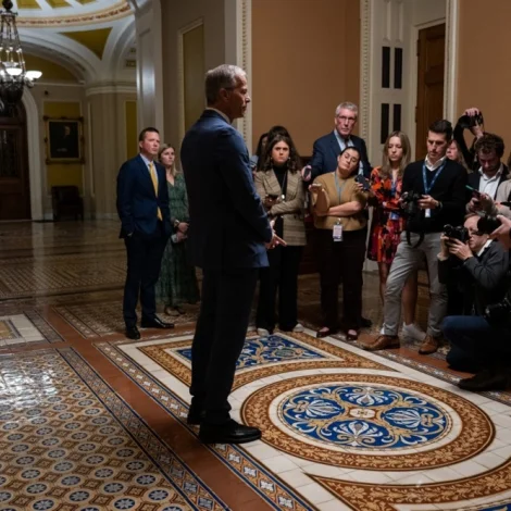 Søguliga langur stongsul er nú av