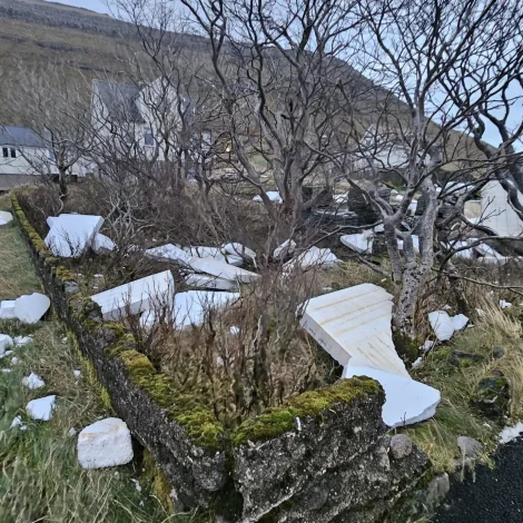 Flamingo fleyt í Norðragøtu