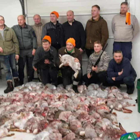 Nógvar harur skotnar í Tormanshaga og á Notringi