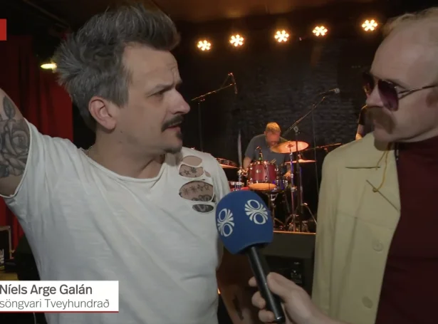 Niels Arge úr 200 og Óttarr Proppé úr HAM (Skíggjamynd: RÚV)