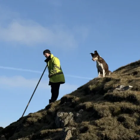 Seyðahundakapping í Vágadali í Sandavági