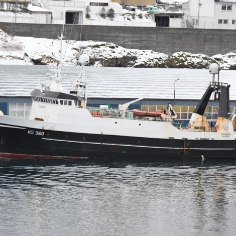 Skoraberg og Fuglberg landa á Kósini