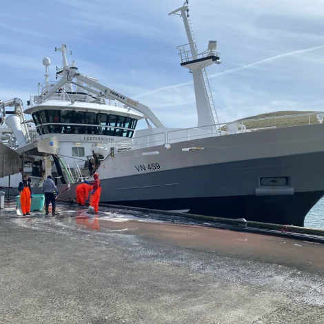 Vesturbúgvin landaði til Snarfrost í gjár