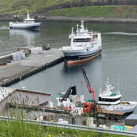 Norðfinnur landar í Miðvági