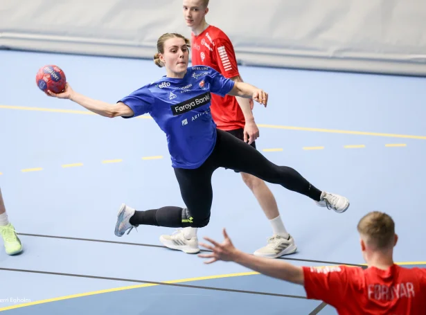 (Mynd: Sverri Egholm)