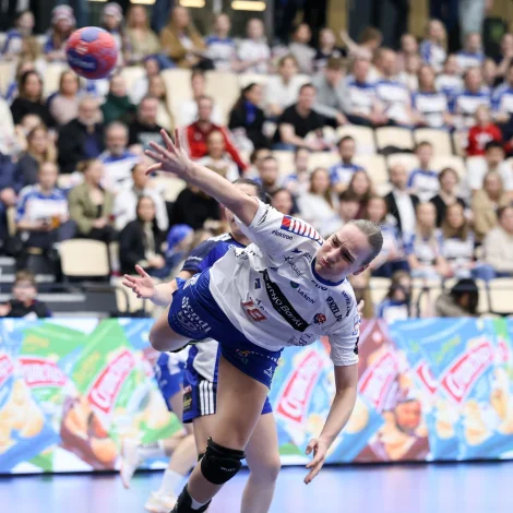 (Mynd: Sverri Egholm)