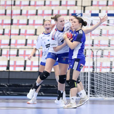 (Mynd: Sverri Egholm)