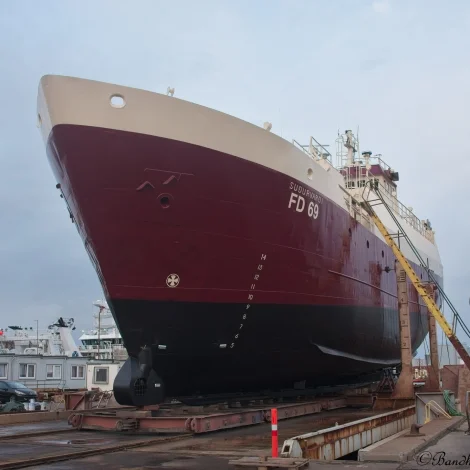 Suðurvarði sær út sum nýggjur