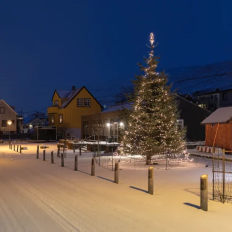 Jólatrøini tendra leygardagin 29. novembur