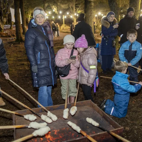 Myndir: Jólahugni hjá Lions í plantasjuni
