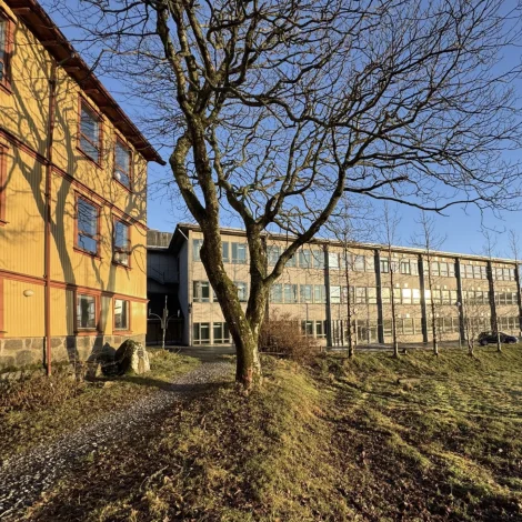 Heildarætlan fyri Tjóðsavnið í Hoydølum