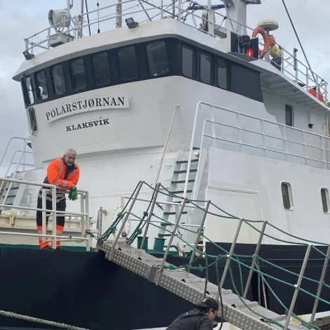 Polarstjørnan selur frystan fisk á Fiskamarknaðinum