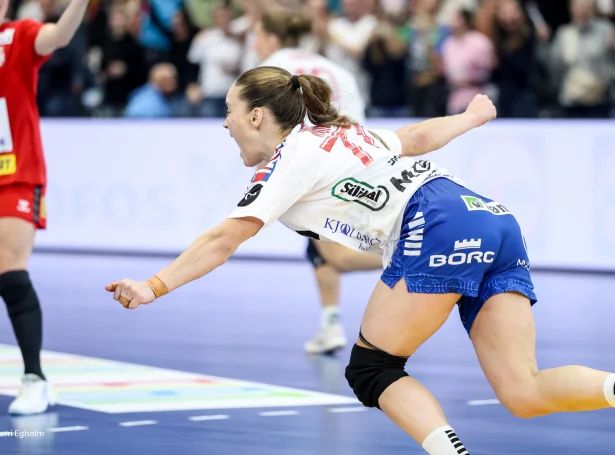 (Mynd: Sverri Egholm)