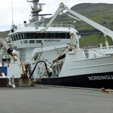 Norðingur landar svartkjaft í Fuglafirði