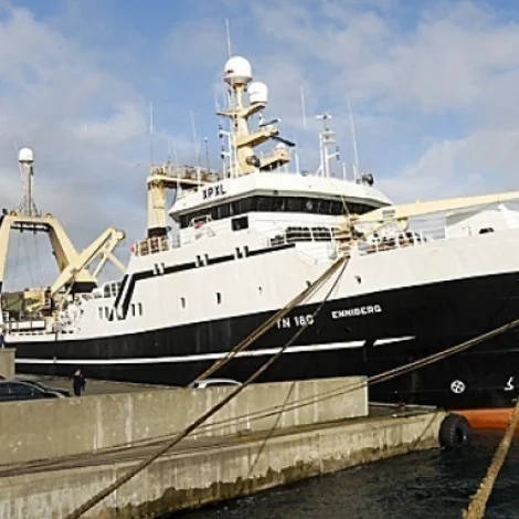 Enniberg er komin undan Grønlandi við 350 tonsum av svartkalva