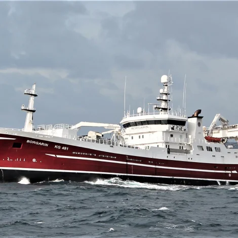 Borgarin skal landa sild til Pelaagos