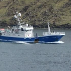 Eivind selir frystan fisk á Fiskamarknaðinum