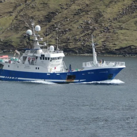 Eivind selir frystan fisk á Fiskamarknaðinum