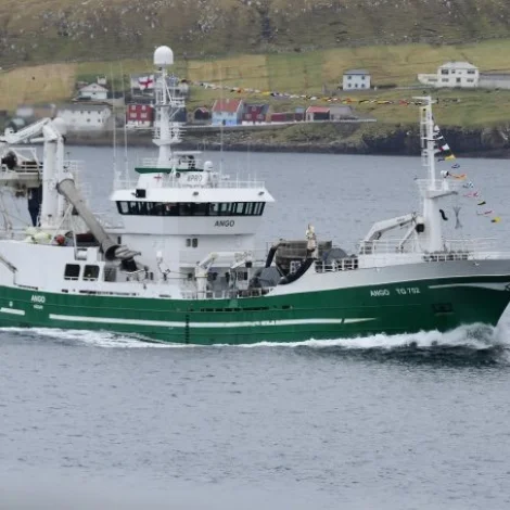 Ango landar sild á Tvøroyri í kvøld