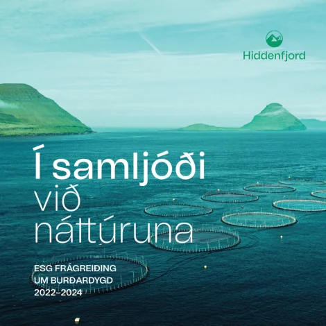 Hiddenfjord við ESG frágreiðing um burðardygd