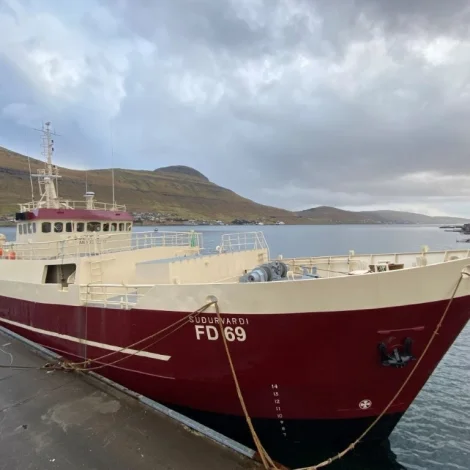 Suðurvarði sum nýggjur