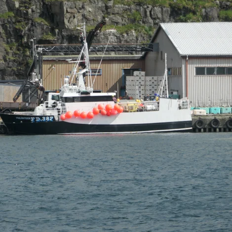 Volenteer landar í morgin á Toftum