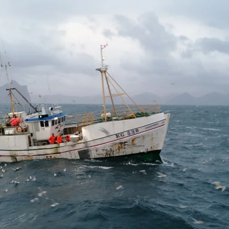 Tríggir útróðrarbátar selja á Fiskamarknaðinum
