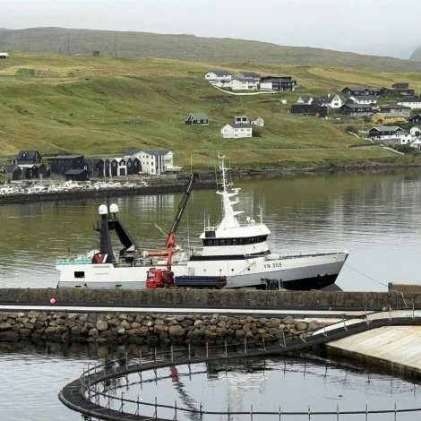 Norðfinnur landar í Miðvági